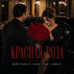 Обкладинка Красная роза
