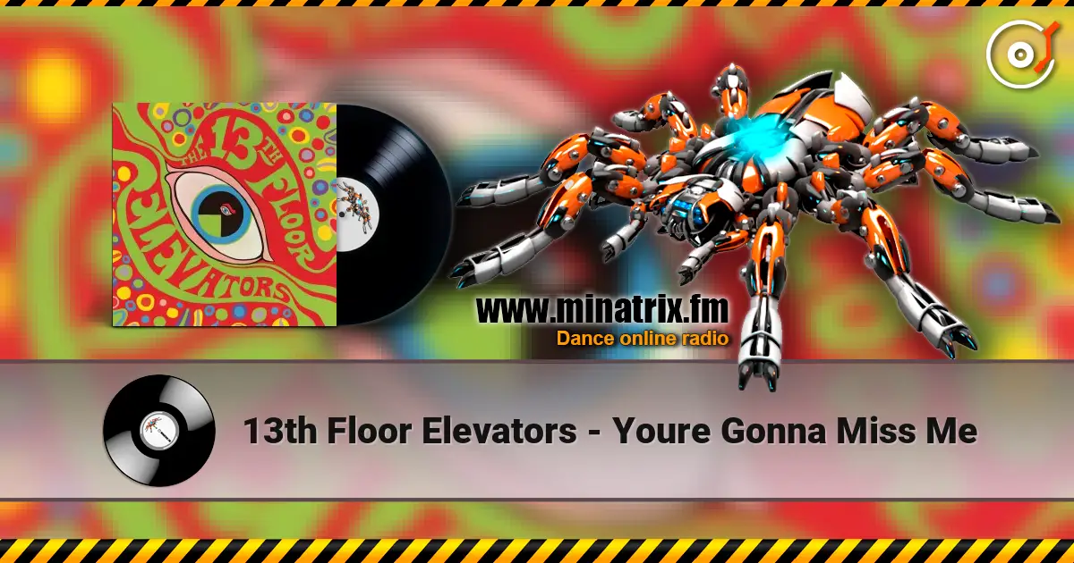 13th Floor Elevators - Youre Gonna Miss Me listen online in high quality | Minatrix.FM