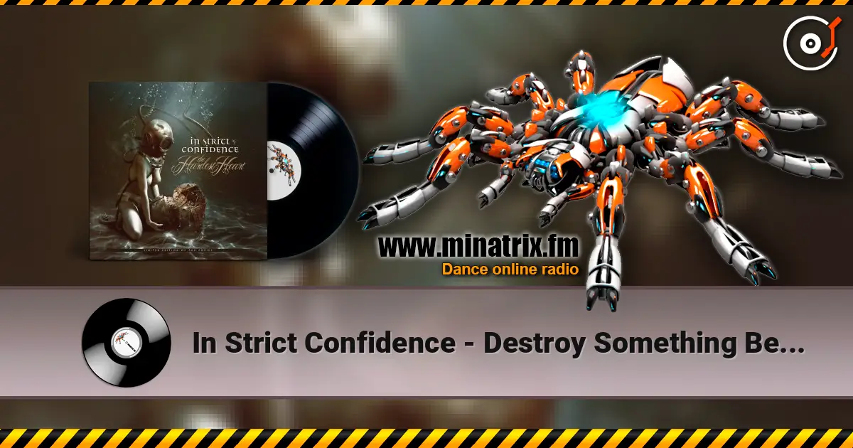 In Strict Confidence - Destroy Something Beautiful listen online in high quality | Minatrix.FM