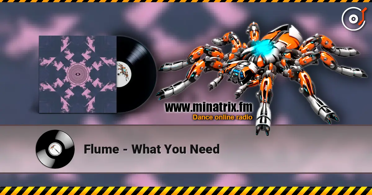 Flume - What You Need listen online in high quality | Minatrix.FM