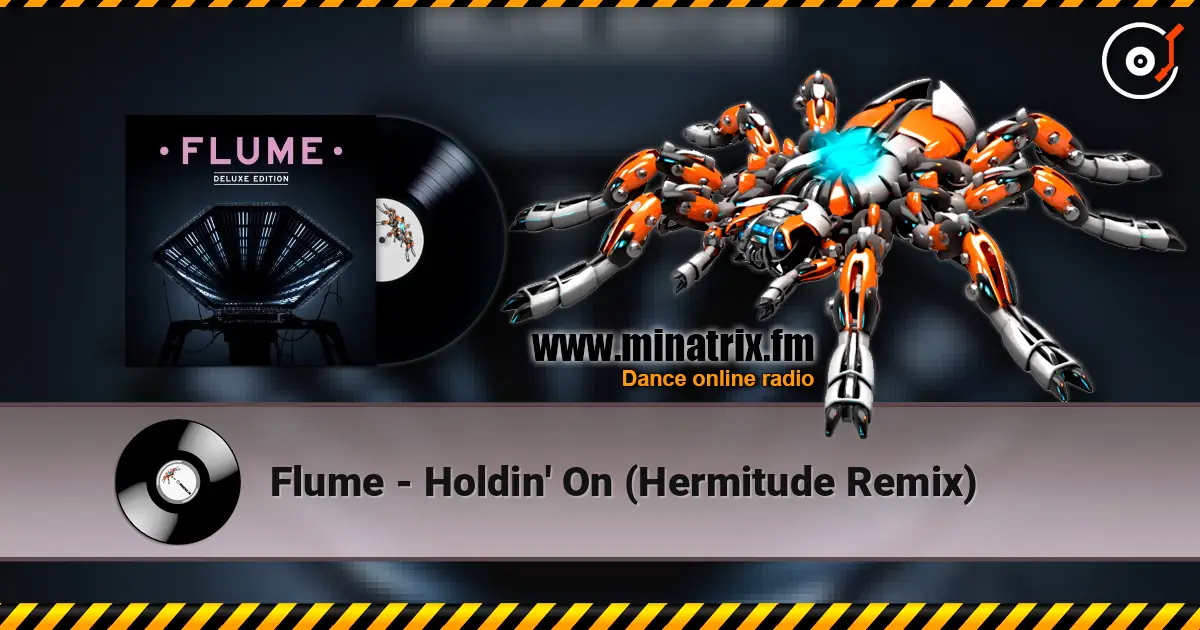 Flume - Holdin' On (Hermitude Remix) listen online in high quality | Minatrix.FM