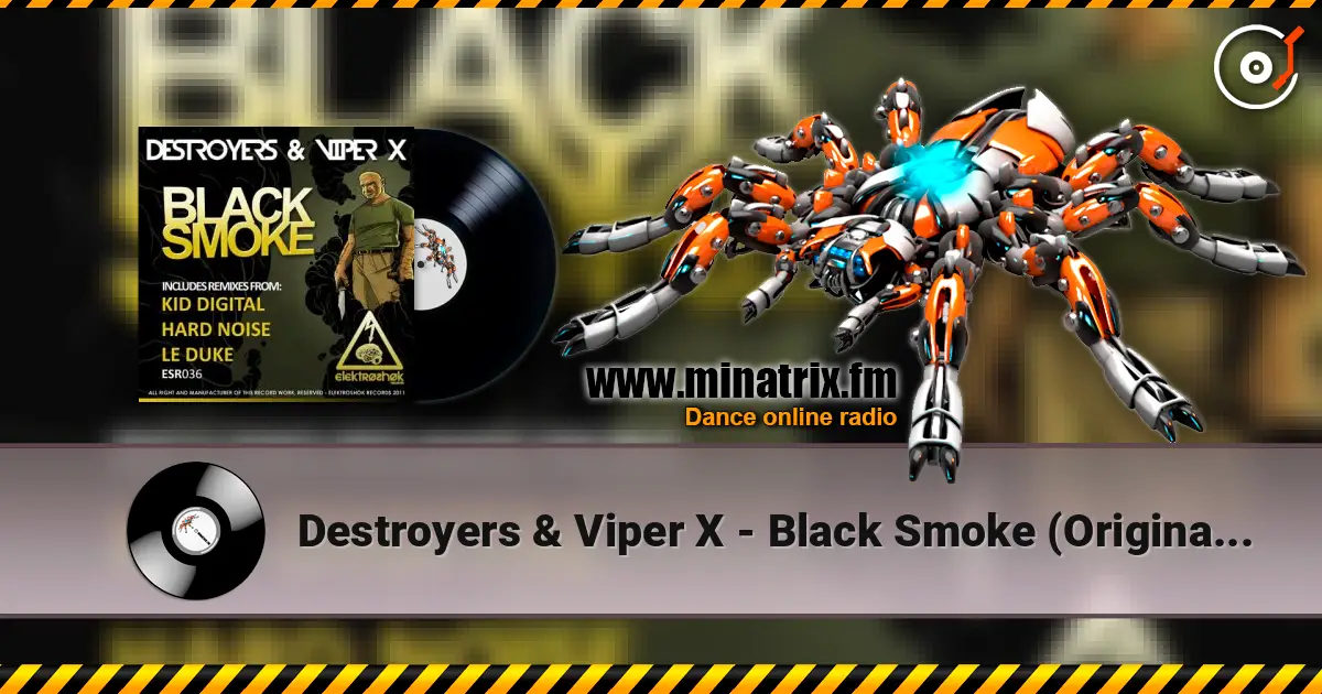 Destroyers & Viper X - Black Smoke (Original Mix) listen online in high quality | Minatrix.FM