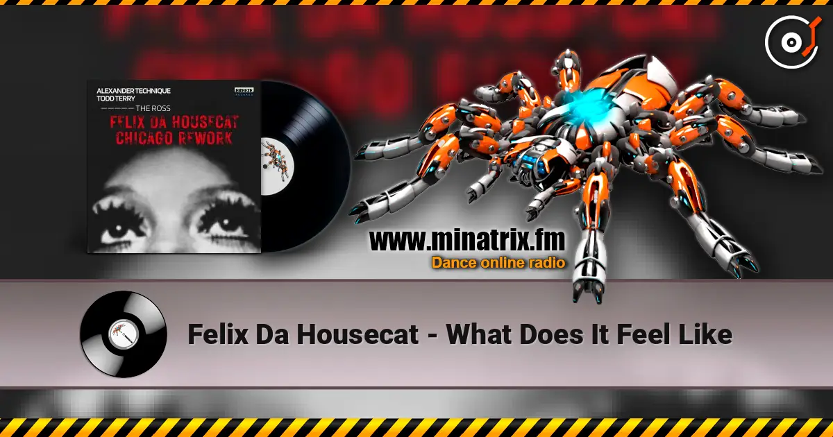 Felix Da Housecat - What Does It Feel Like listen online in high quality | Minatrix.FM
