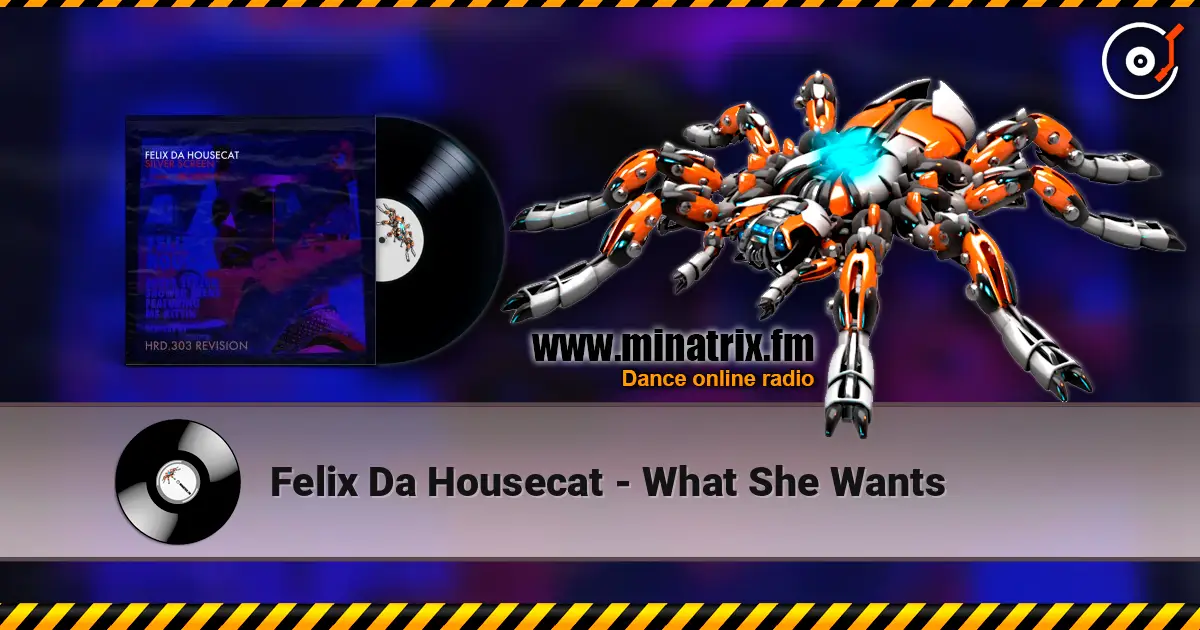 Felix Da Housecat - What She Wants listen online in high quality | Minatrix.FM