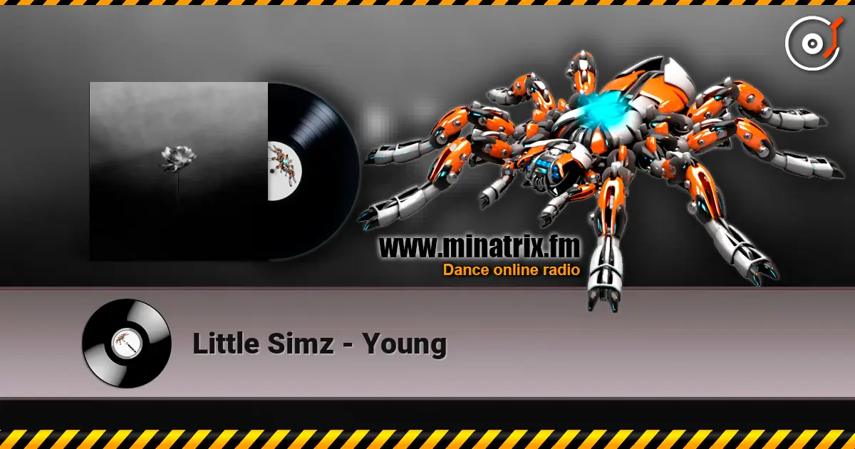 Little Simz - Young listen online in high quality | Minatrix.FM