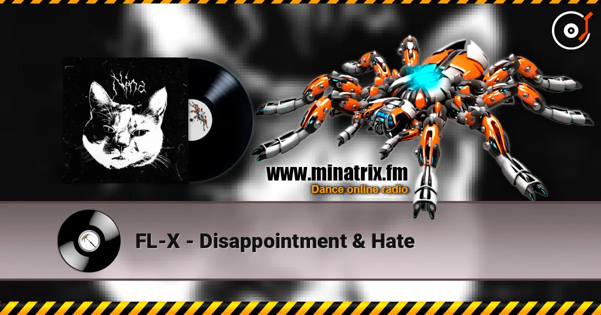 FL-X - Disappointment & Hate listen online in high quality | Minatrix.FM