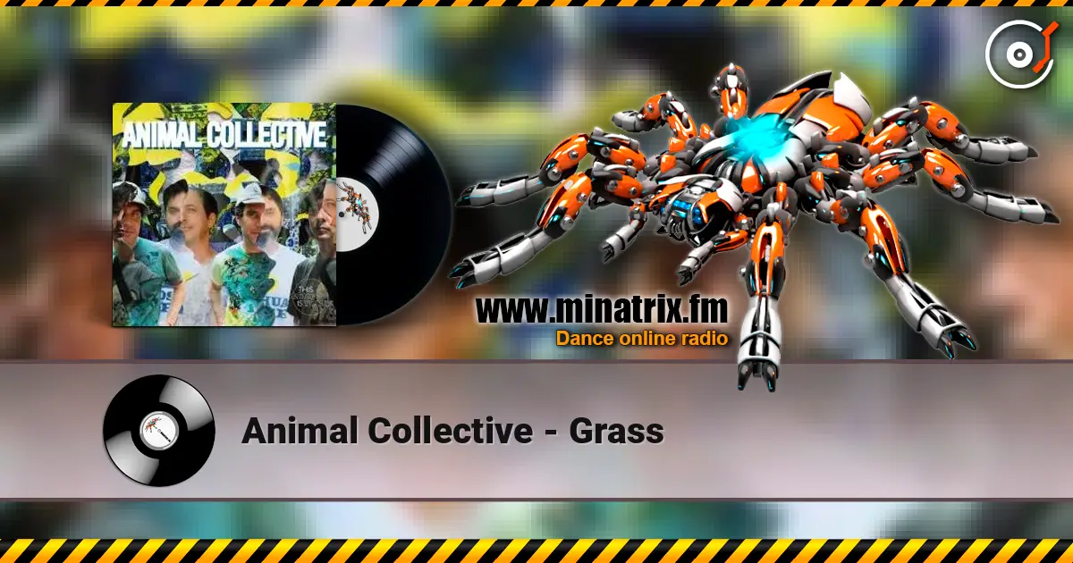 Animal Collective - Grass listen online in high quality | Minatrix.FM