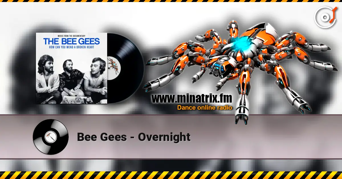Bee Gees - Overnight listen online in high quality | Minatrix.FM