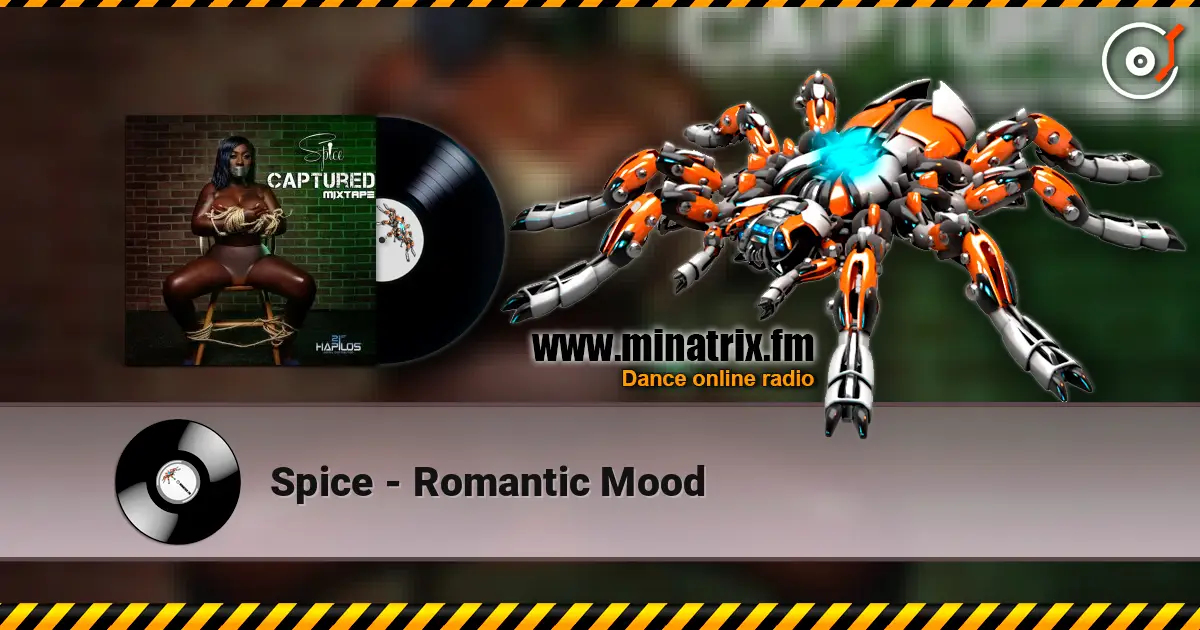 Spice - Romantic Mood listen online in high quality | Minatrix.FM