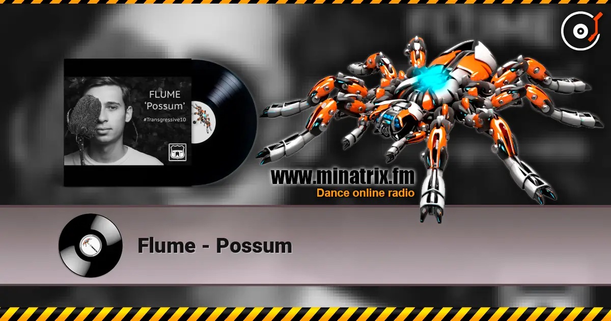 Flume - Possum listen online in high quality | Minatrix.FM
