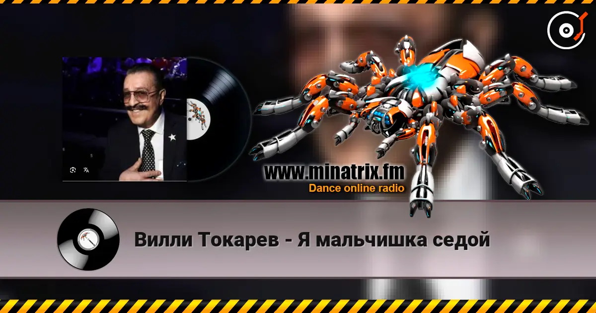 Вилли Токарев - Я мальчишка седой listen online in high quality | Minatrix.FM
