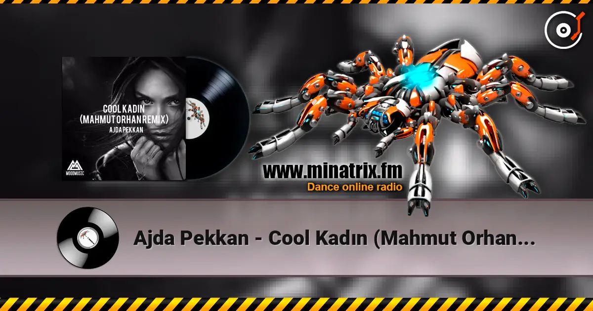 Ajda Pekkan - Cool Kadın (Mahmut Orhan Remix) listen online in high quality | Minatrix.FM