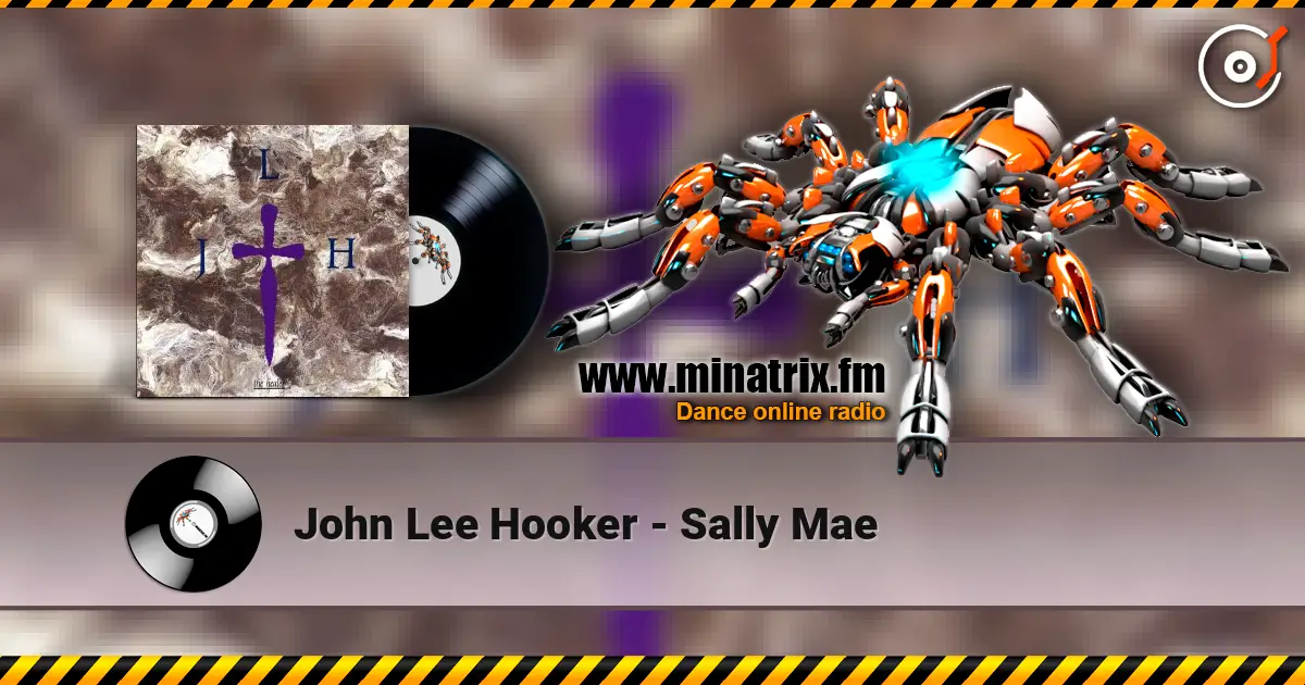 John Lee Hooker - Sally Mae listen online in high quality | Minatrix.FM