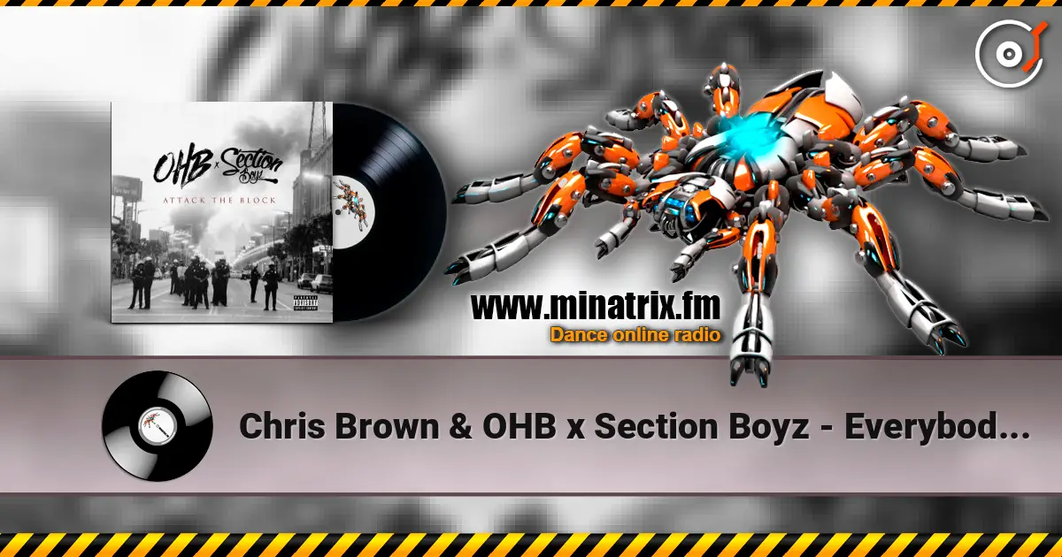 Chris Brown & OHB x Section Boyz - Everybody (feat. Chris Brown & Young Lo) listen online in high quality | Minatrix.FM