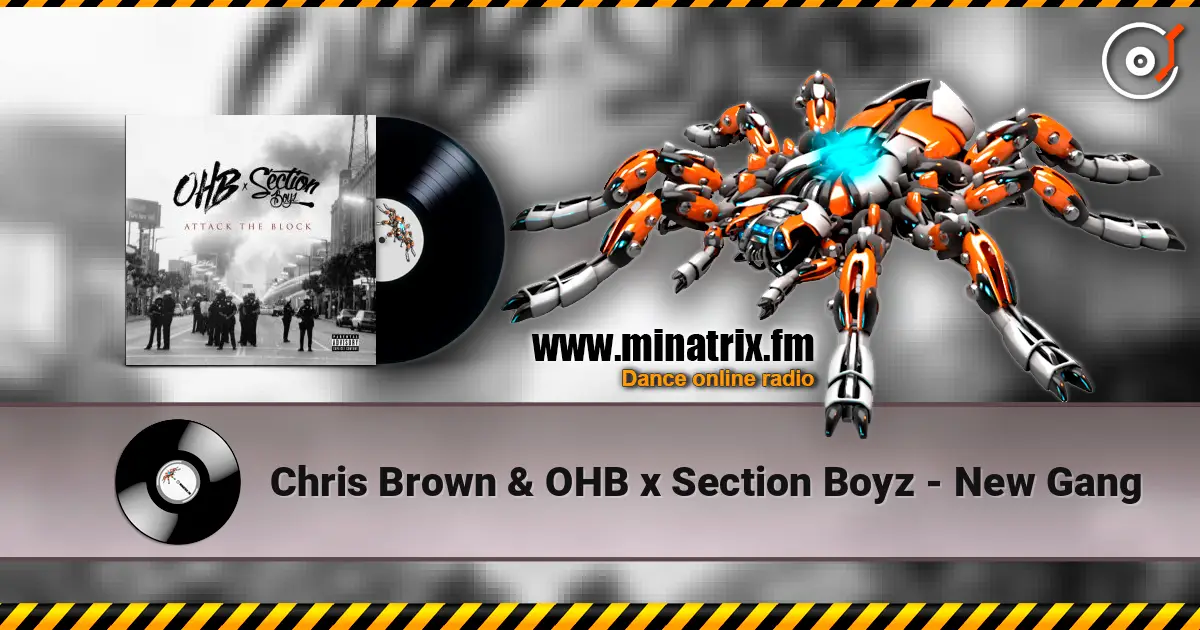 Chris Brown & OHB x Section Boyz - New Gang слухати онлайн у високій якості | Minatrix.FM