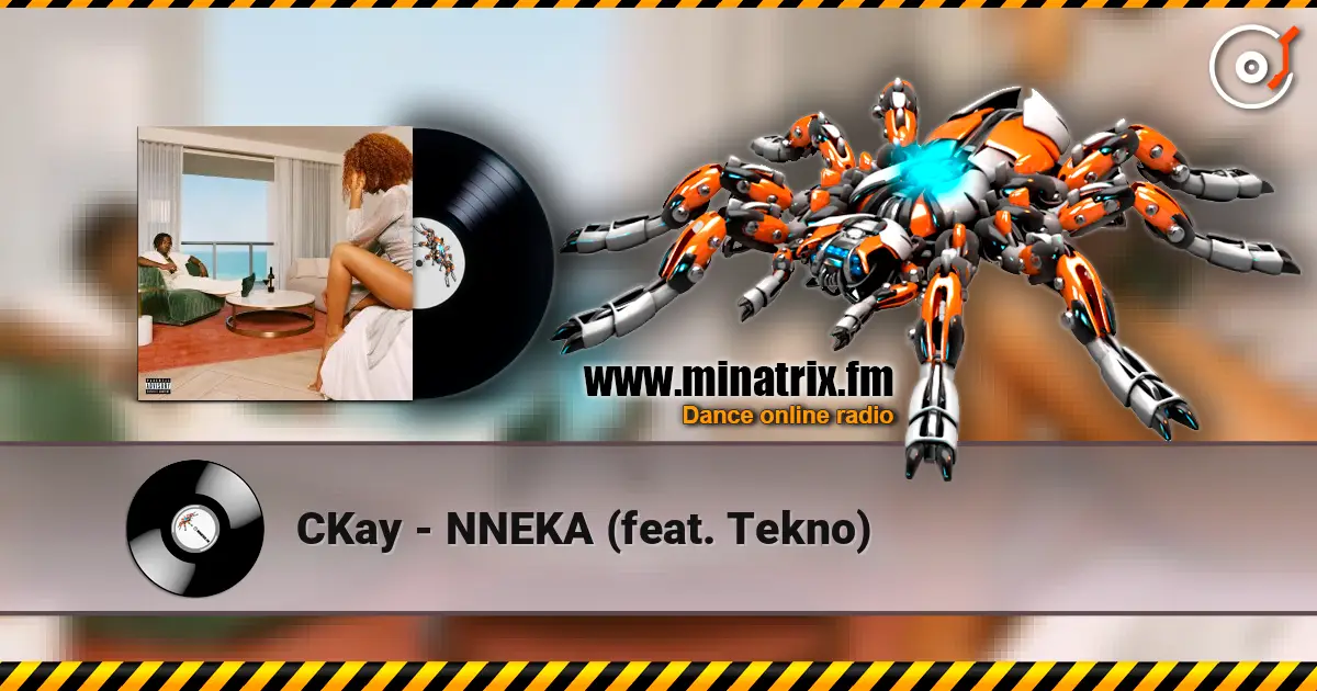 CKay - NNEKA (feat. Tekno) listen online in high quality | Minatrix.FM