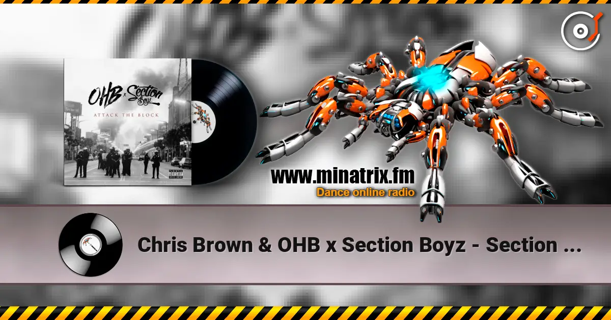 Chris Brown & OHB x Section Boyz - Section One Hundred Billion (feat. Section Boyz & OHB) listen online in high quality | Minatrix.FM