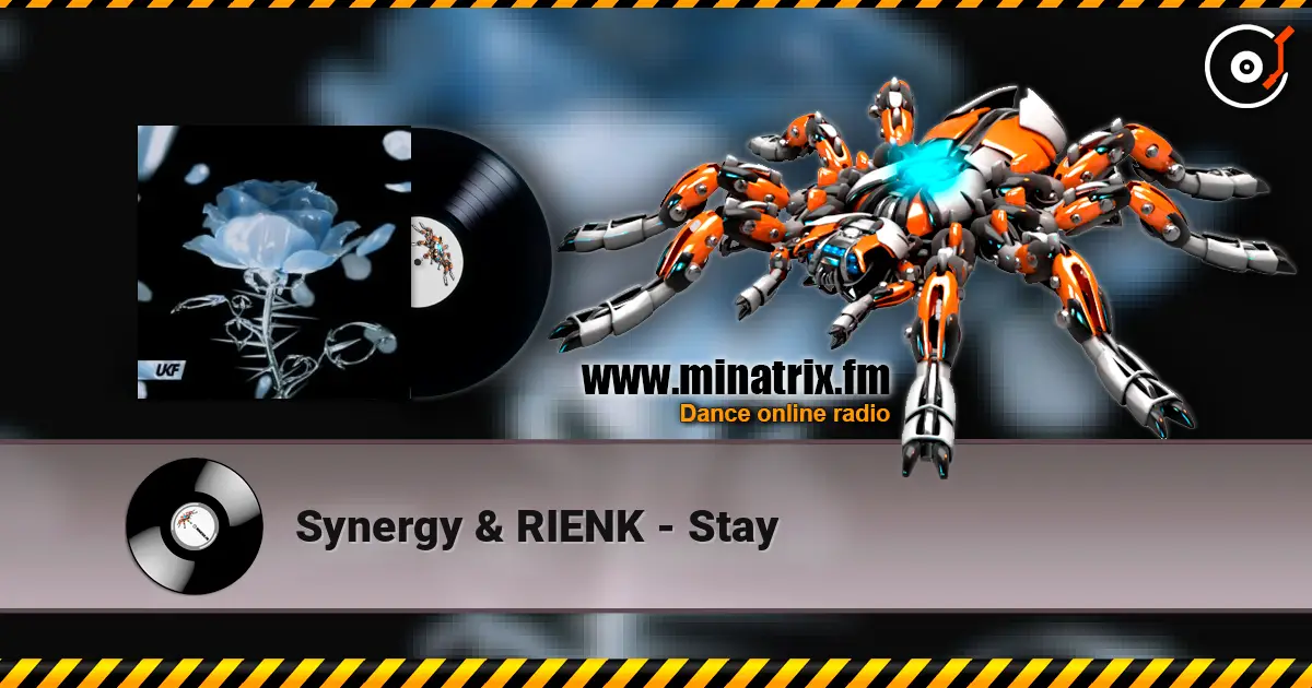 Synergy & RIENK - Stay listen online in high quality | Minatrix.FM