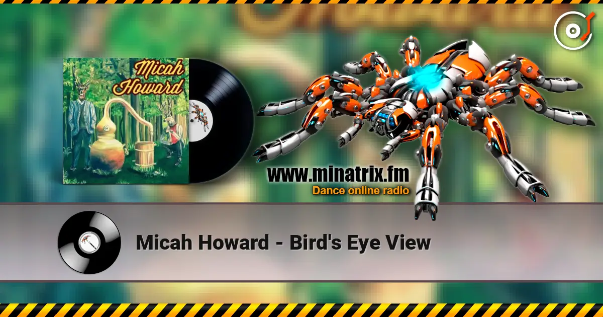 Micah Howard - Bird's Eye View listen online in high quality | Minatrix.FM