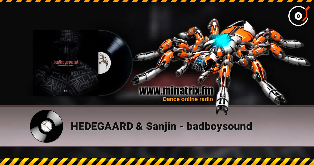 HEDEGAARD & Sanjin - badboysound listen online in high quality | Minatrix.FM