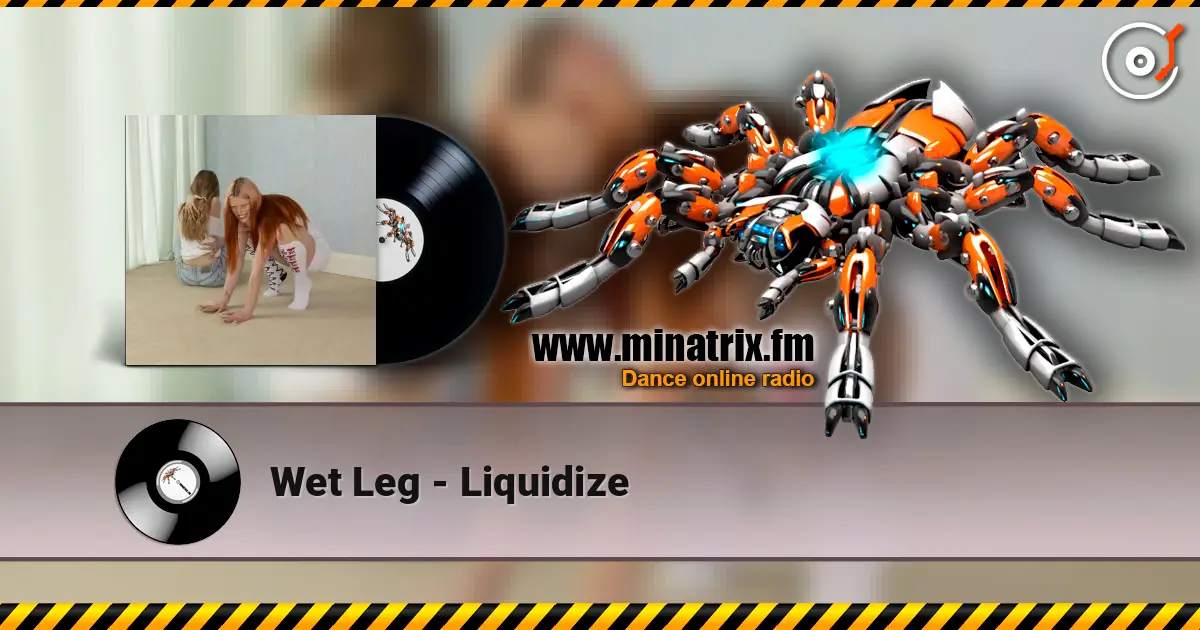 Wet Leg - Liquidize listen online in high quality | Minatrix.FM