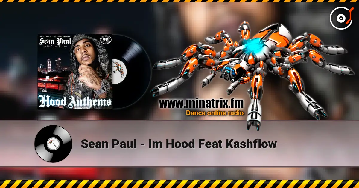 Sean Paul - Im Hood Feat Kashflow listen online in high quality | Minatrix.FM