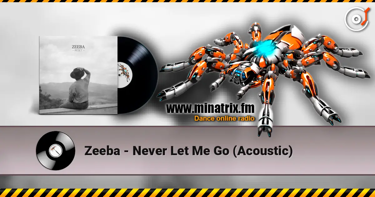 Zeeba - Never Let Me Go (Acoustic) listen online in high quality | Minatrix.FM
