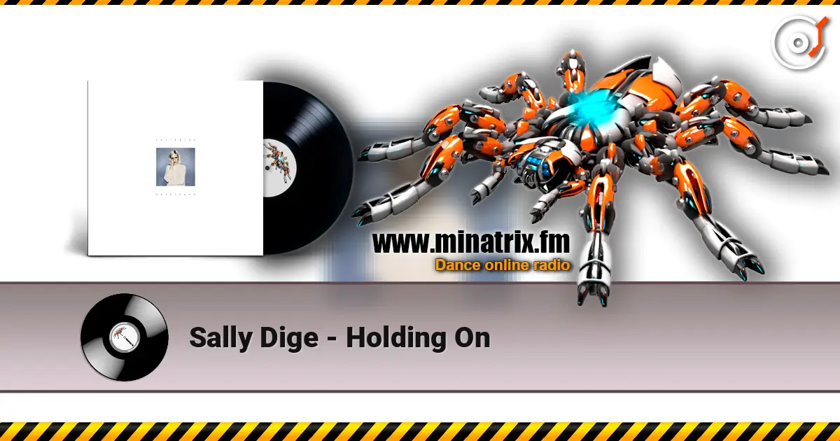 Sally Dige - Holding On listen online in high quality | Minatrix.FM