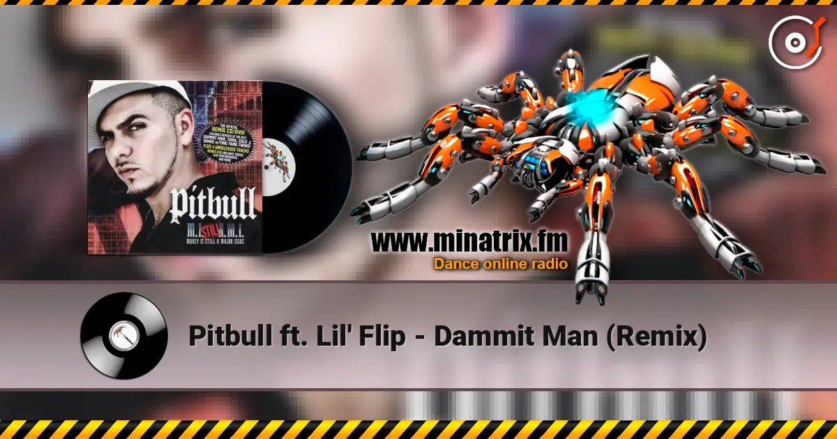 Pitbull ft. Lil' Flip - Dammit Man (Remix) слухати онлайн у високій якості | Minatrix.FM
