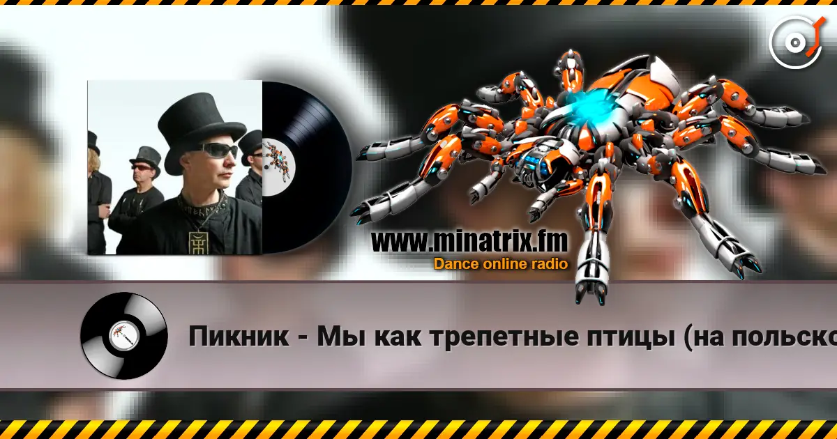 Пикник - Мы как трепетные птицы (на польском языке) listen online in high quality | Minatrix.FM
