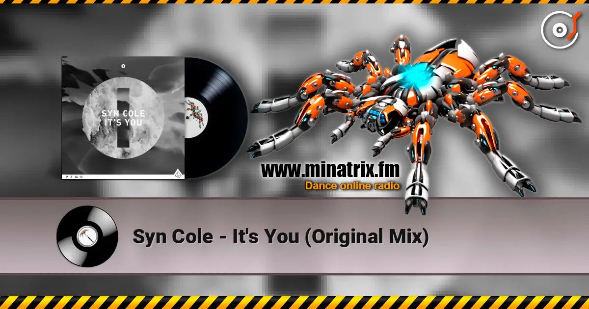 Syn Cole - It's You (Original Mix) listen online in high quality | Minatrix.FM