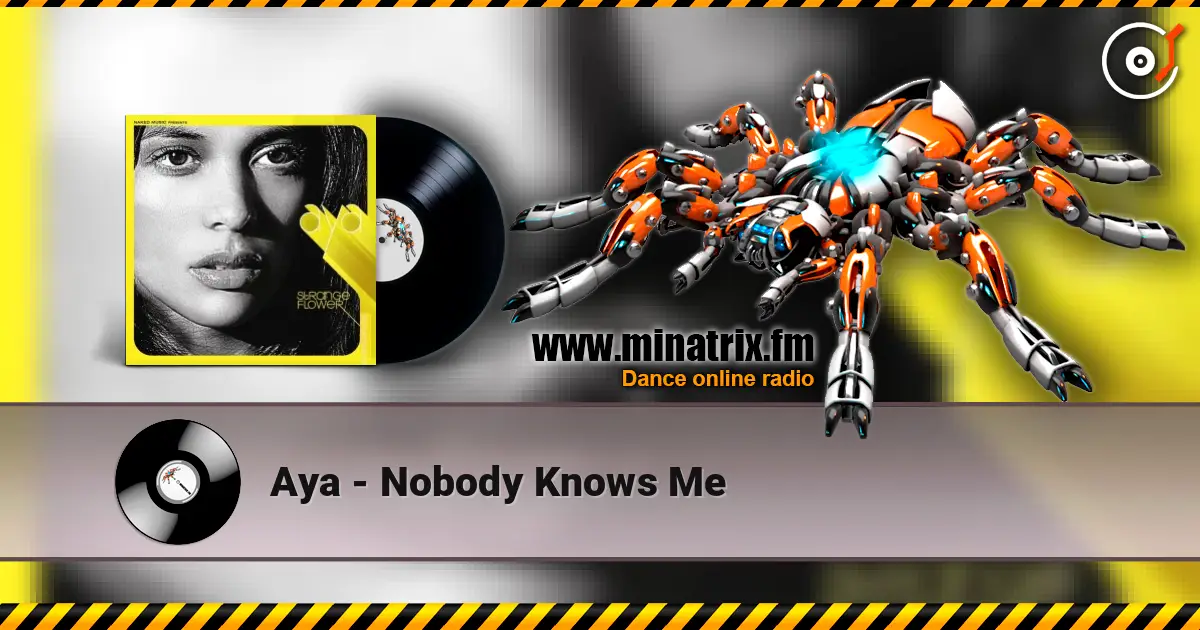Aya - Nobody Knows Me listen online in high quality | Minatrix.FM