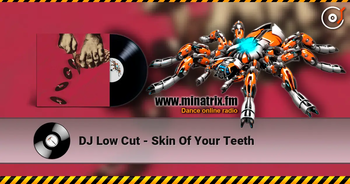 DJ Low Cut - Skin Of Your Teeth listen online in high quality | Minatrix.FM
