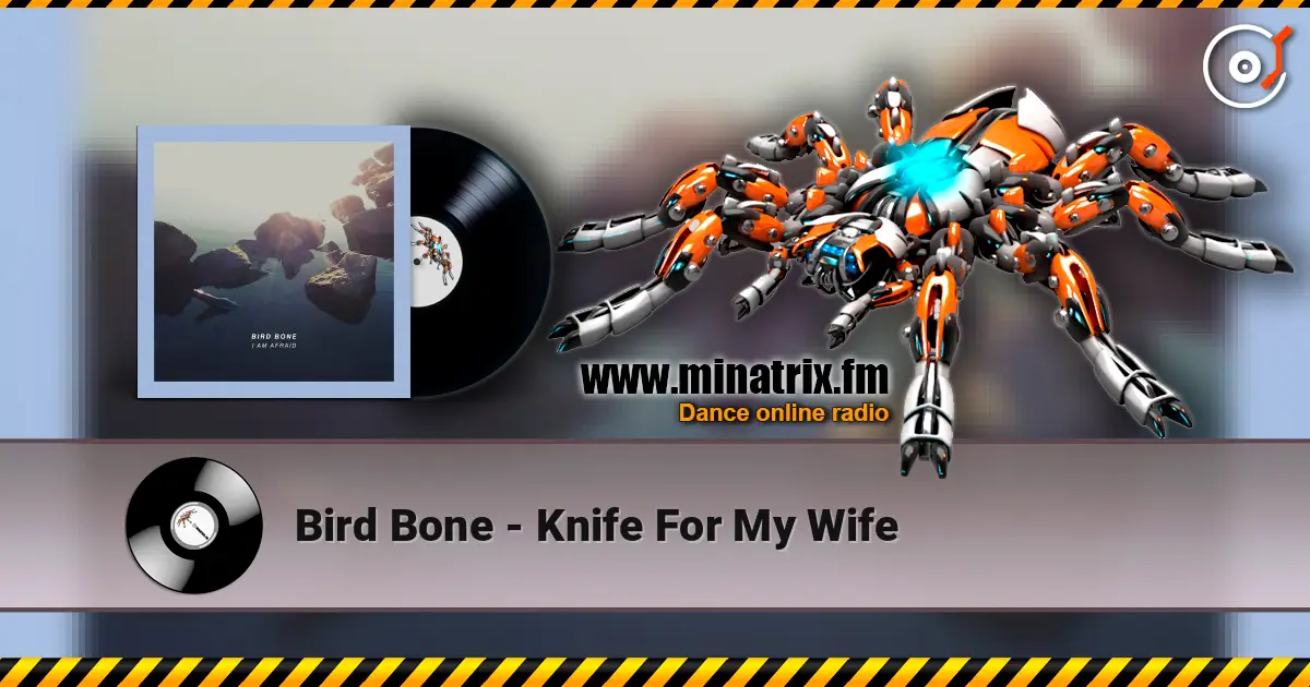 Bird Bone - Knife For My Wife listen online in high quality | Minatrix.FM