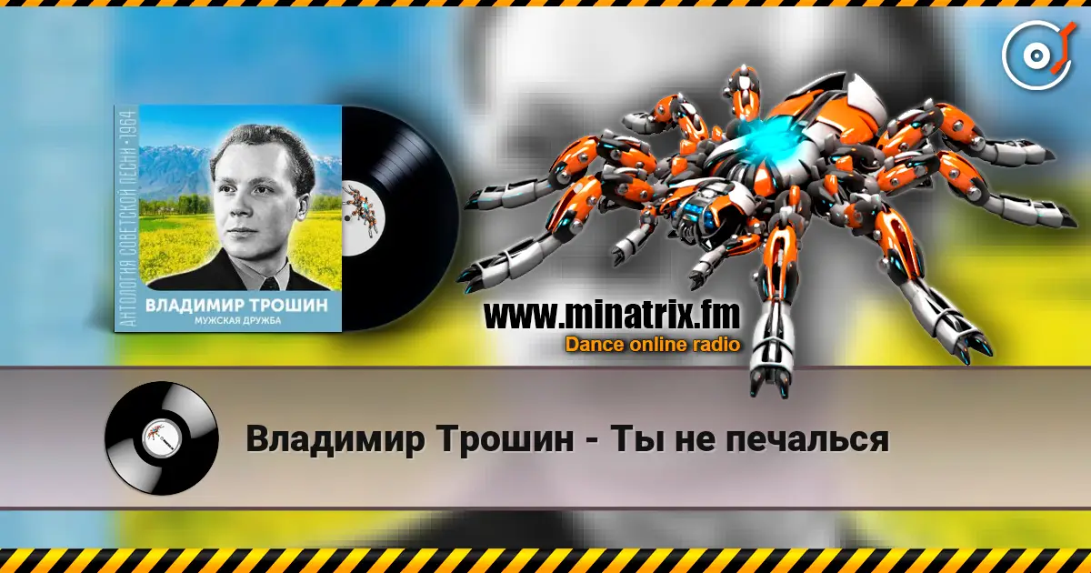 Владимир Трошин - Ты не печалься listen online in high quality | Minatrix.FM
