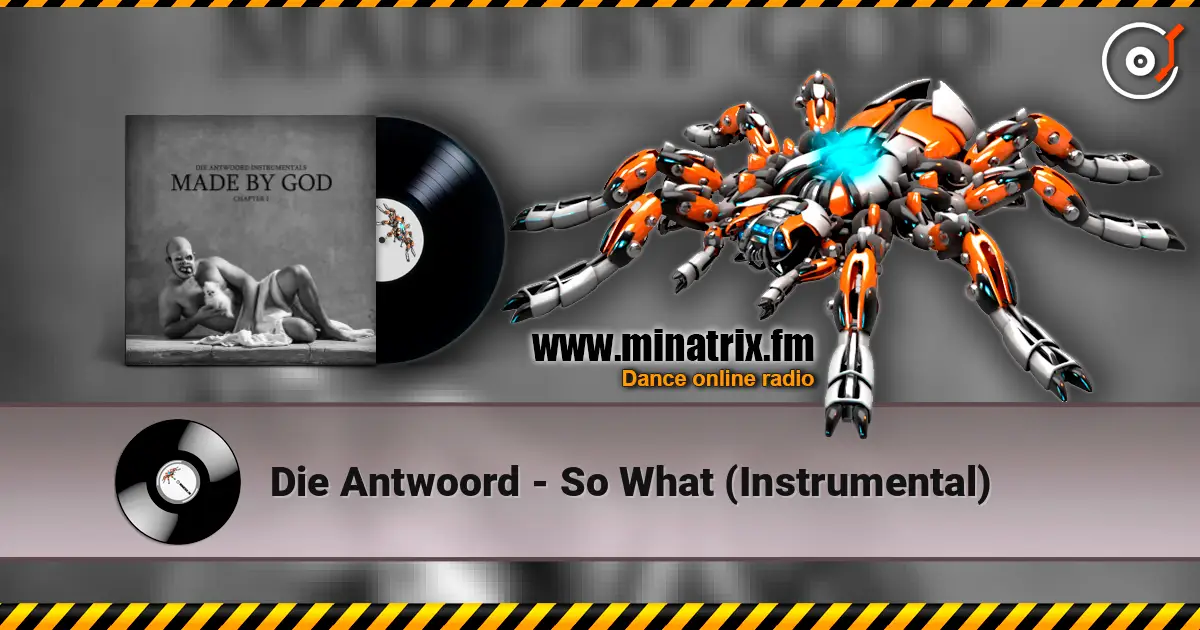 Die Antwoord - So What (Instrumental) listen online in high quality | Minatrix.FM