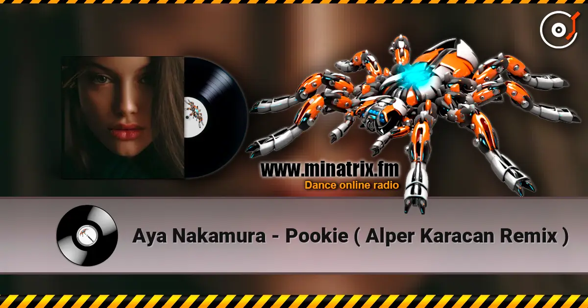 Aya Nakamura - Pookie ( Alper Karacan Remix ) listen online in high quality | Minatrix.FM
