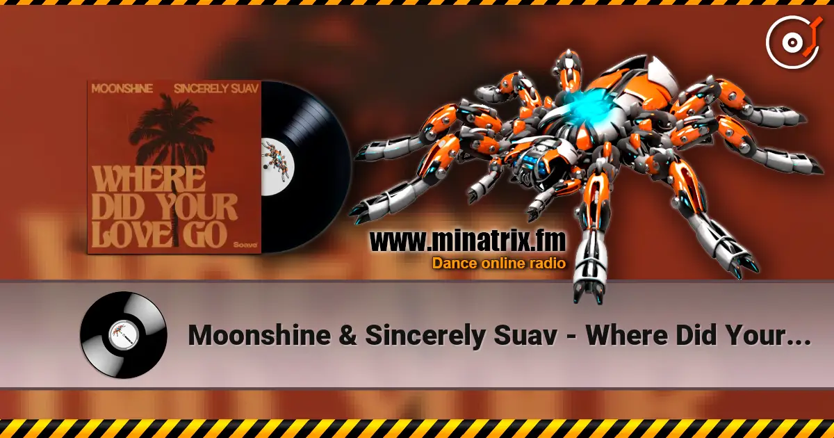 Moonshine & Sincerely Suav - Where Did Your Love Go слухати онлайн у високій якості | Minatrix.FM