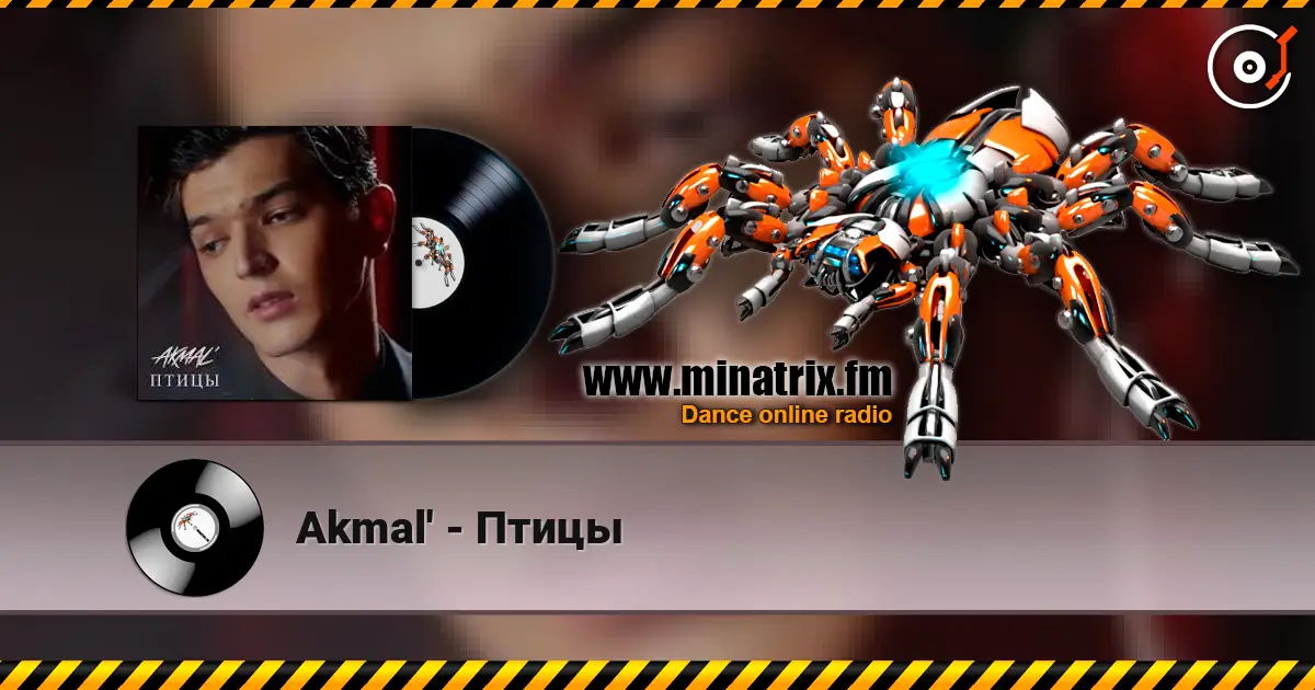 Akmal' - Птицы слухати онлайн у високій якості | Minatrix.FM