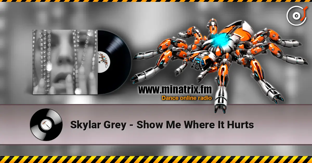 Skylar Grey - Show Me Where It Hurts слухати онлайн у високій якості | Minatrix.FM