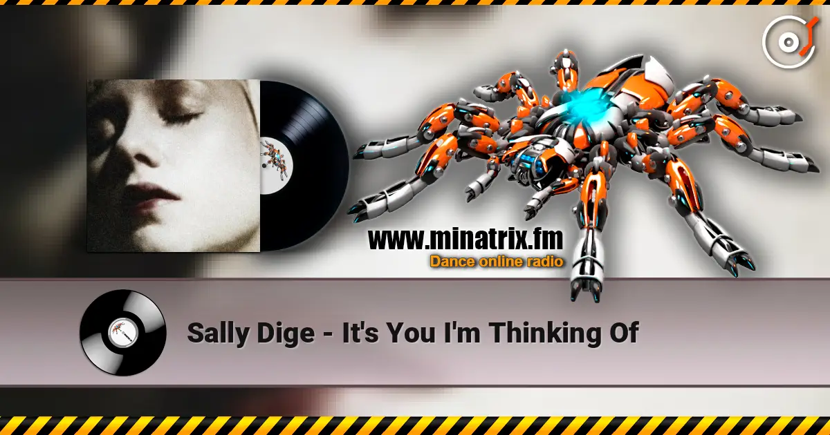 Sally Dige - It's You I'm Thinking Of listen online in high quality | Minatrix.FM