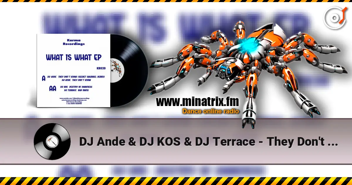DJ Ande & DJ KOS & DJ Terrace - They Don't Know (Secret Squirrel Remix) listen online in high quality | Minatrix.FM