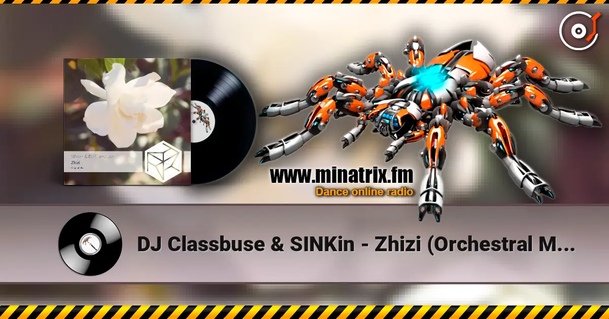 DJ Classbuse & SINKin - Zhizi (Orchestral Mix) слухати онлайн у високій якості | Minatrix.FM