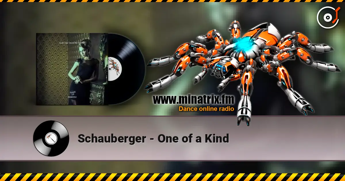 Schauberger - One of a Kind listen online in high quality | Minatrix.FM