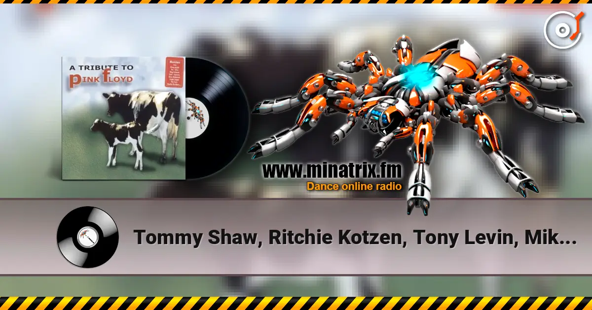Tommy Shaw, Ritchie Kotzen, Tony Levin, Mike Beard - Money listen online in high quality | Minatrix.FM