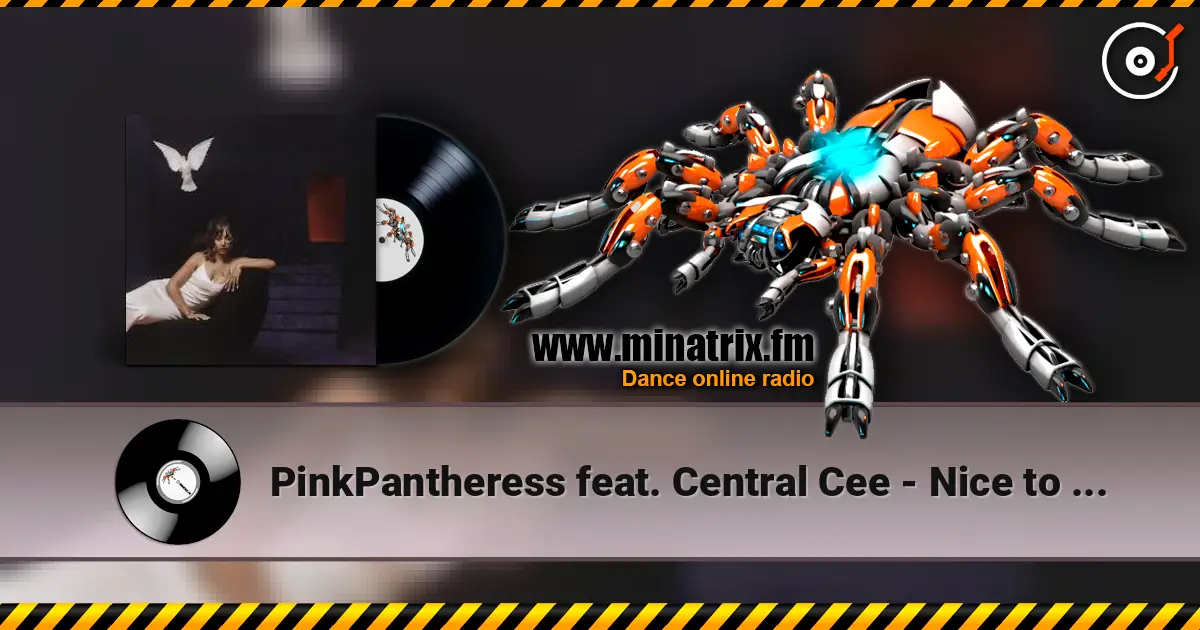 PinkPantheress feat. Central Cee - Nice to meet you listen online in high quality | Minatrix.FM