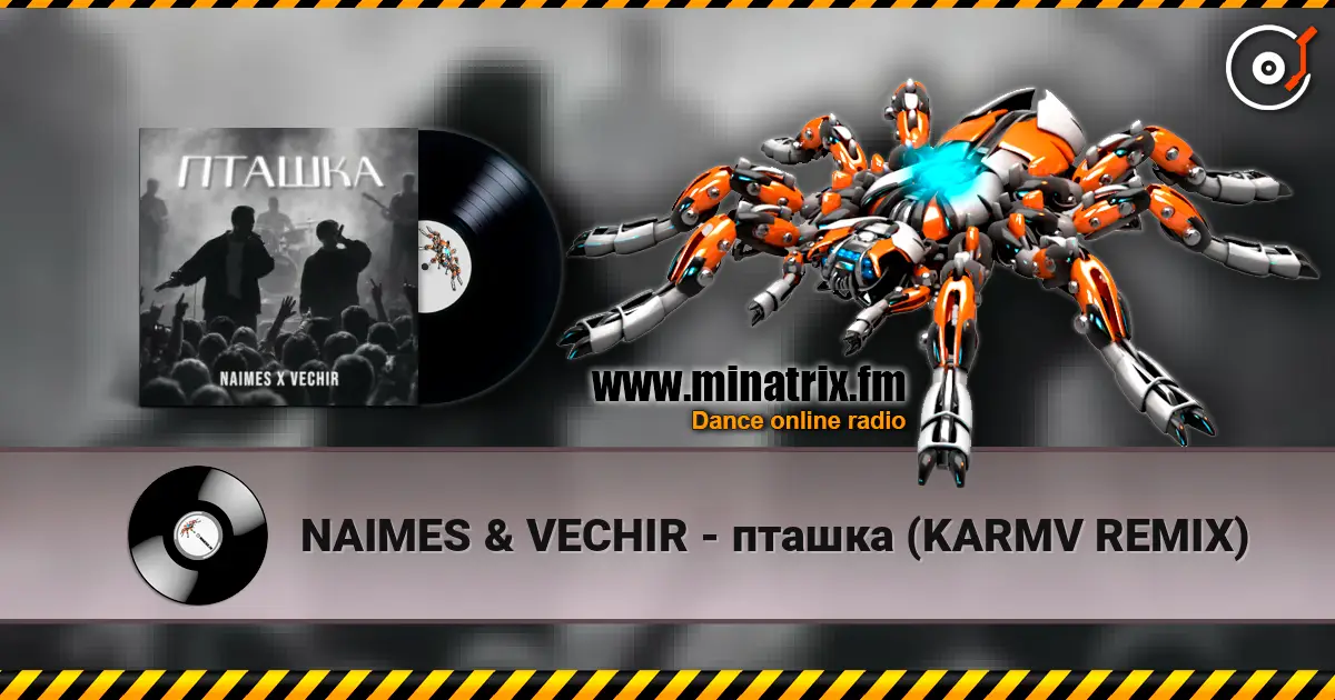 NAIMES & VECHIR - пташка (KARMV REMIX) listen online in high quality | Minatrix.FM