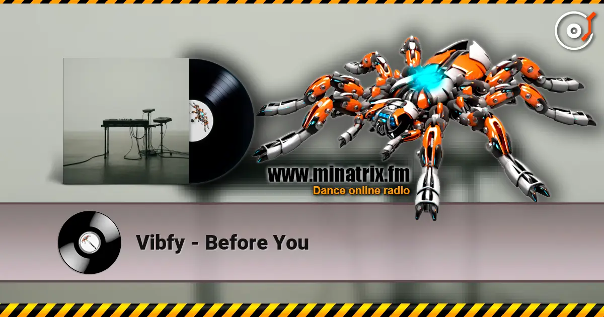 Vibfy - Before You listen online in high quality | Minatrix.FM
