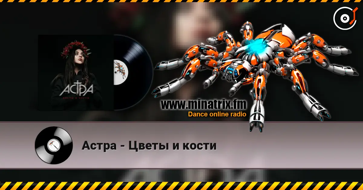 Астра - Цветы и кости listen online in high quality | Minatrix.FM
