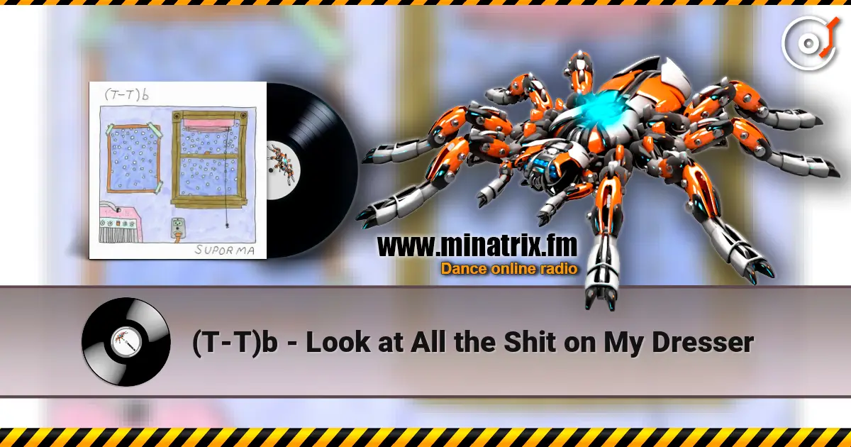 (T-T)b - Look at All the Shit on My Dresser listen online in high quality | Minatrix.FM